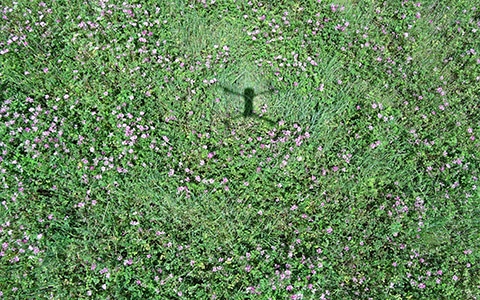 April